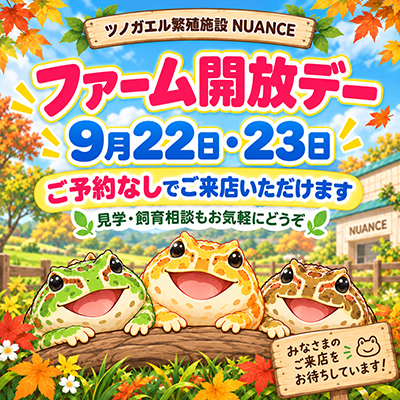 ツノガエル　NUANCE　ニュアンス　ご来店について